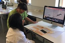 Worms are cleverer than you think
