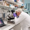 MRC Laboratory of Molecular Biology Open Day, 2013 PNAC Lab Tours