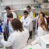 MRC Laboratory of Molecular Biology Open Day, 2013 PNAC Lab Tours