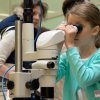 MRC Laboratory of Molecular Biology Open Day, 2013 Can Worms Unlock the Secrets of our Minds