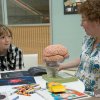 MRC Laboratory of Molecular Biology Open Day, 2013 Neuron art zone