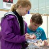 MRC Laboratory of Molecular Biology Open Day, 2013 Neuron art zone