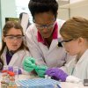 MRC Laboratory of Molecular Biology Open Day, 2013 Chromatography