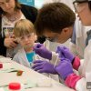 MRC Laboratory of Molecular Biology Open Day, 2013 DNA discovery zone