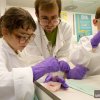 MRC Laboratory of Molecular Biology Open Day, 2013 DNA discovery zone