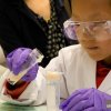 MRC Laboratory of Molecular Biology Open Day, 2013 DNA discovery zone