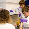 MRC Laboratory of Molecular Biology Open Day, 2013 How to catch a cheat