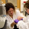MRC Laboratory of Molecular Biology Open Day, 2013 How to catch a cheat