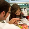 MRC Laboratory of Molecular Biology Open Day, 2013 See Your Cells