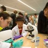 MRC Laboratory of Molecular Biology Open Day, 2013 See Your Cells