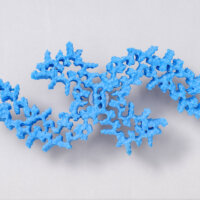 A model showing a paired-helical filament from Alzheimer’s disease brain, 2017, from Sjors Scheres - the work featured on the front cover of Nature.