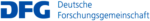 dfg logo