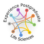 UoC experience postgrad logo