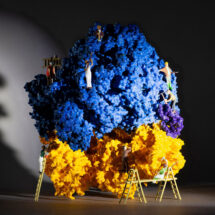 Structure of a stapled ribosome