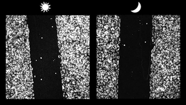 Wounds that happen during the active phase of the circadian cycle heal more rapidly because cells are quicker to migrate and repair the damage