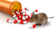mouse with pill bottle