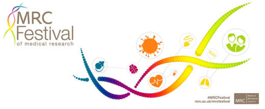mrc-festival_header