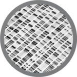 DNA Sequence image